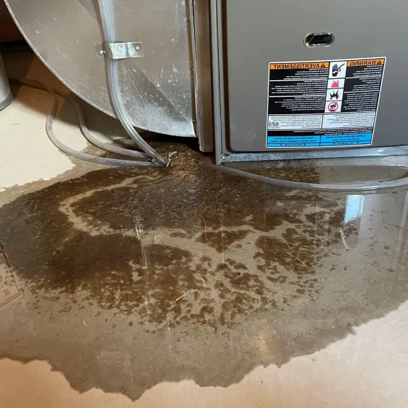 Pipe Burst and Leak Restoration in Hagerstown, IN